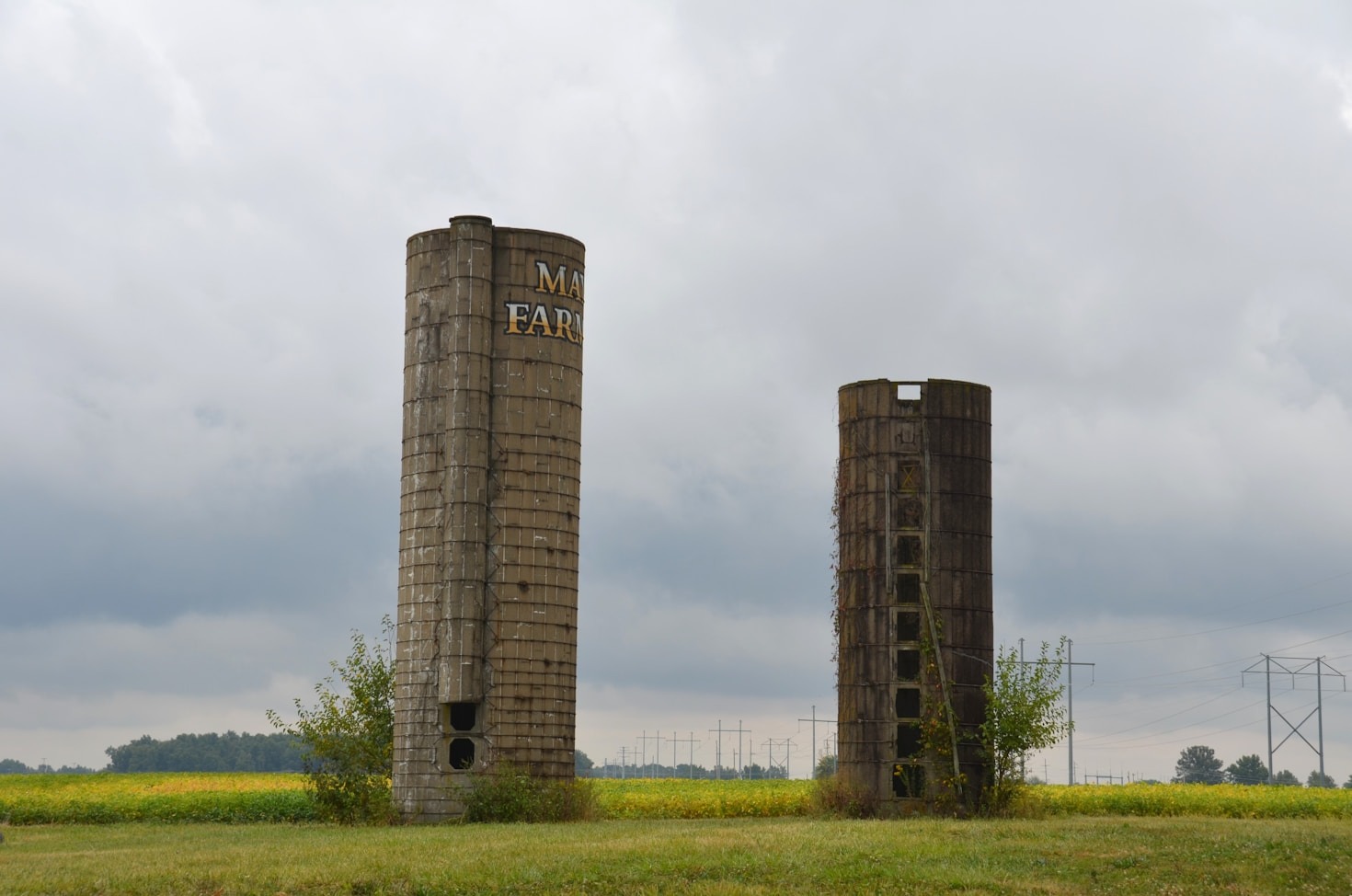 Why Quality Matters in Silo Manufacturing